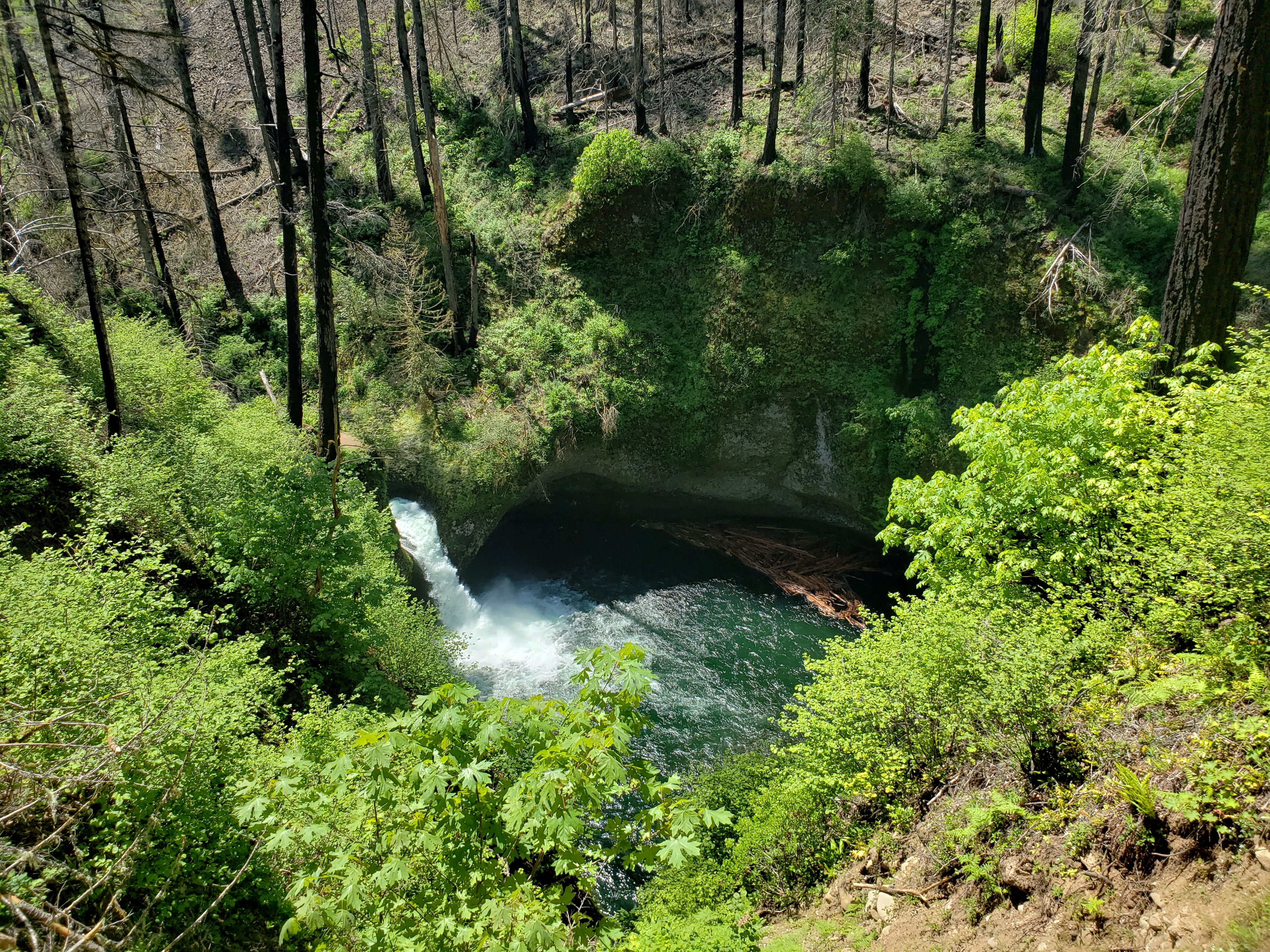Eagle Creek — Washington Trails Association